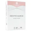 Pak van 500 vellen A3 pastel gekleurdpapier Executive Clrs FIDUCIAL