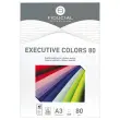 Pak van 500 vellen A3 pastel gekleurdpapier Executive Clrs FIDUCIAL