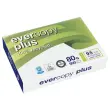 240 Ramettes van 500 vellen 100% gerecycled wit papier EVERCOPY A4 80g