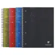 Spiraalschrift CLAREFONTAINE Bind'O Block - A4+ - 5x5 - 160 pagina's