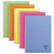 Spiraalschrift Linicolor A4 - 5x5 - 90g - 100 pagina's
