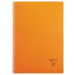 Spiraalschrift Linicolor A4 - 5x5 - 90g - 100 pagina's