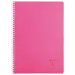 Spiraalschrift Linicolor A4 - 5x5 - 90g - 100 pagina's