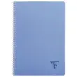 Spiraalschrift Linicolor A4 - 5x5 - 90g - 100 pagina's