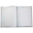 Maandplanner betalingen LE DAUPHIN - 12 tabs op maand - 96 pagina's