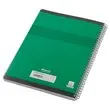 Spiraalschrift CONQUERANT A4 - 180 pagina's