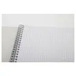 Spiraalschrift CONQUERANT A4 - 180 pagina's