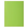 Pak van 100 ROCK'S 80 ondermouwen - 22 x 31 cm - Groen - Exacompta
