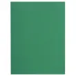 Pak van 100 FLASH 220 mappen 100% gerecycled - 24 x 32 cm - Groen - Exacompta 