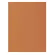 Pak van 100 ROCK'S 210 mappen - 24 x 32 cm - Havana - Exacompta 