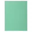 Pak 100 SUPER 210 mappen - 24 x 32 cm - Felgroen - Exacompta 