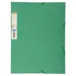 Elastomap FOREVER 3klep recyc.krt groen
