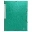 Elastische overhemden met glanzende kaart, 3-laps monobloc - Groen - Exacompta 