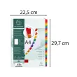 Tabbladen met digitale print, wit karton 160 g/met kleurverstevigingen + voorblad - 31 posities - A4 - Wit - Exacompta