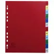 Gekleurde maandelijkse bedrukte tussenschotten PP 12/100e - 12 posities - A4+ - Levendige assorti kleuren - Exacompta