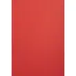 PK 100VL FOREVER ROOD A4 270G 