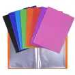 Polypropyleen documentenhoezen 5/10e OPAK kristalhoezen 100 pagina's - A4 - Assortiment kleuren - Exacompta