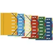 HARMONIKA® vensterordner met elastieken Nature Future glanzende kaart 7 vakken - Assortimente kleuren - Exacompta