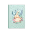 RNK Verlag Notitieboekje 'Axolotl', A5, 96 pagina's