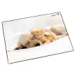 Loper Onderlegger Hond en kat, 400 x 530 mm