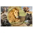 HERMA Onderlegger 'Afrikaanse dieren', (L)550 x (H)350 mm