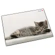 Grijze katten bureauloper, 400 x 530 mm 