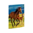 RNK Verlag Tekendoos 'Free Horses', A3 