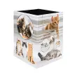 HERMA Prullenbak 'Katten', karton 