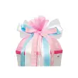 ROTH Lint voor schoolhoorn 'Pink Dots', lichtblauw/roze