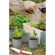Onderzetter CULTIVATE, diameter: 180 mm, zwart - Orthex