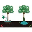 Bewateringszak voor bomen, PVC, 75 liter, groen - Bradas 