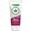 Hennepcrème, tube van 100 ml - Haro