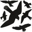 Raamvogels - folie - bestendig tegen - Herma