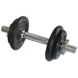 Korte stang halter, set van 10,0 kg, doos - Schildkröt