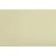 Wegwerp placemat, 400 x 300 mm, kiwi groen - Pronappe