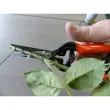 Tuinscharen 'Magische Scharen' - Garten Primus