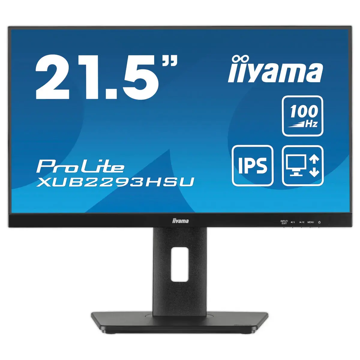 Prolite-monitor - 22" 
