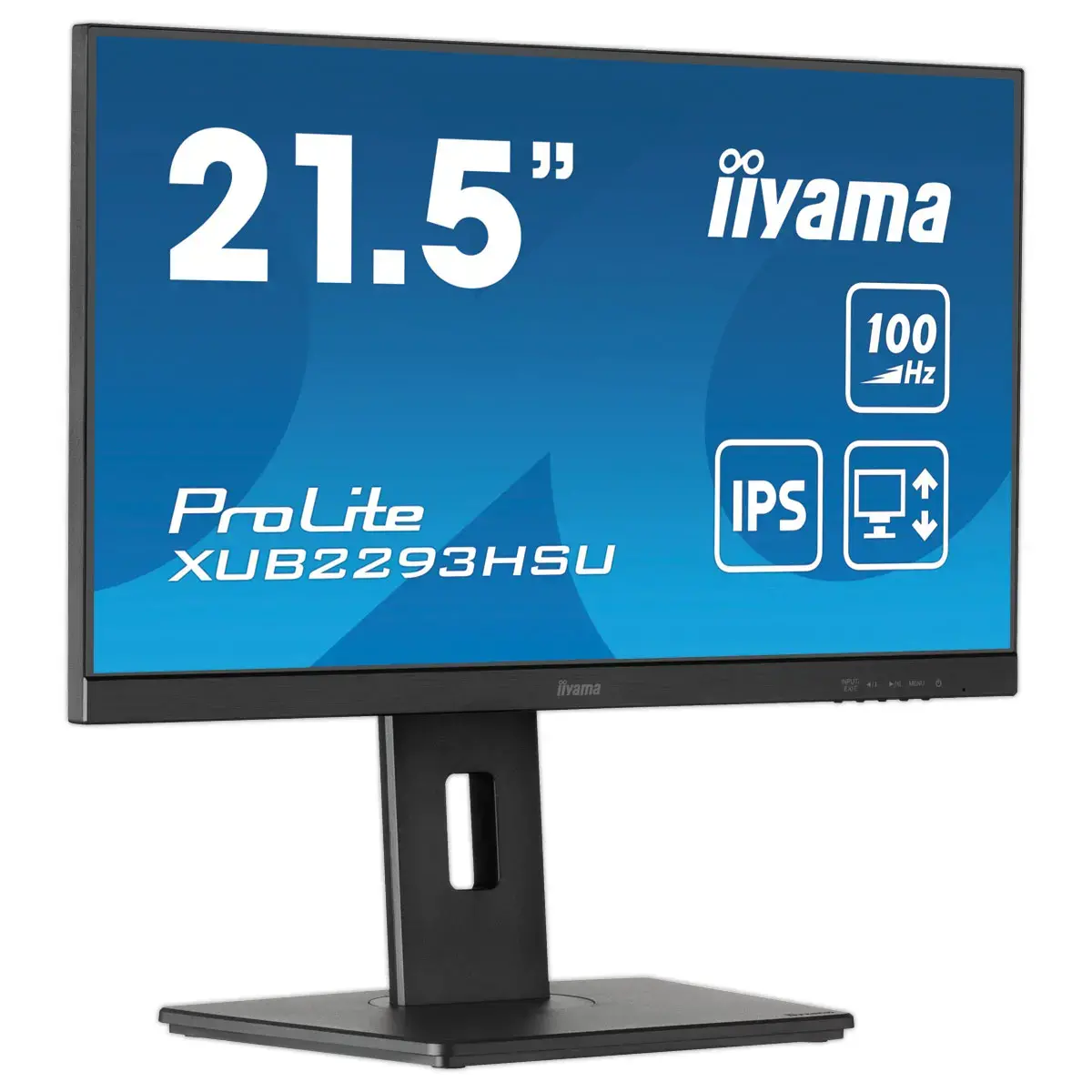Prolite-monitor - 22" 
