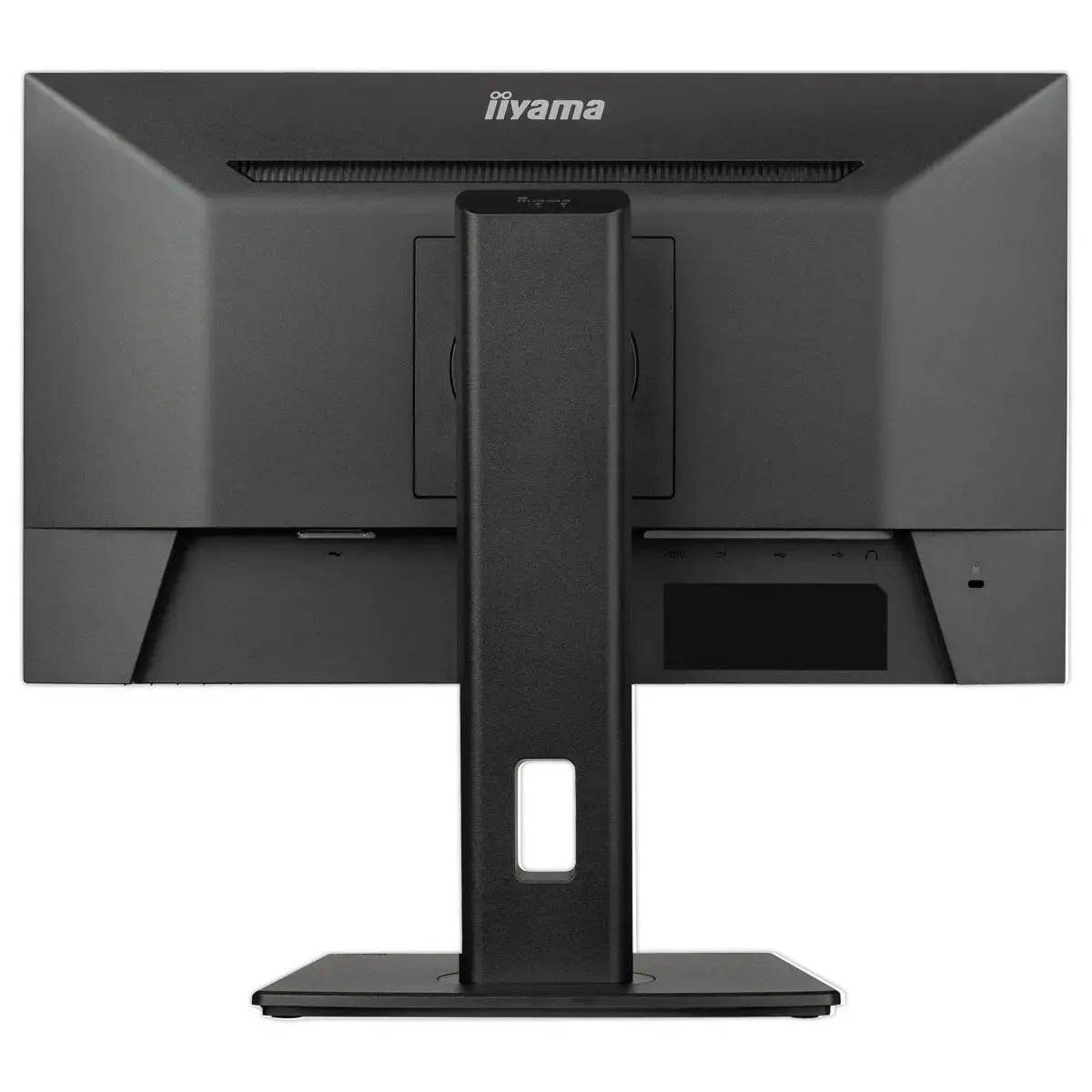 Prolite-monitor - 22" 