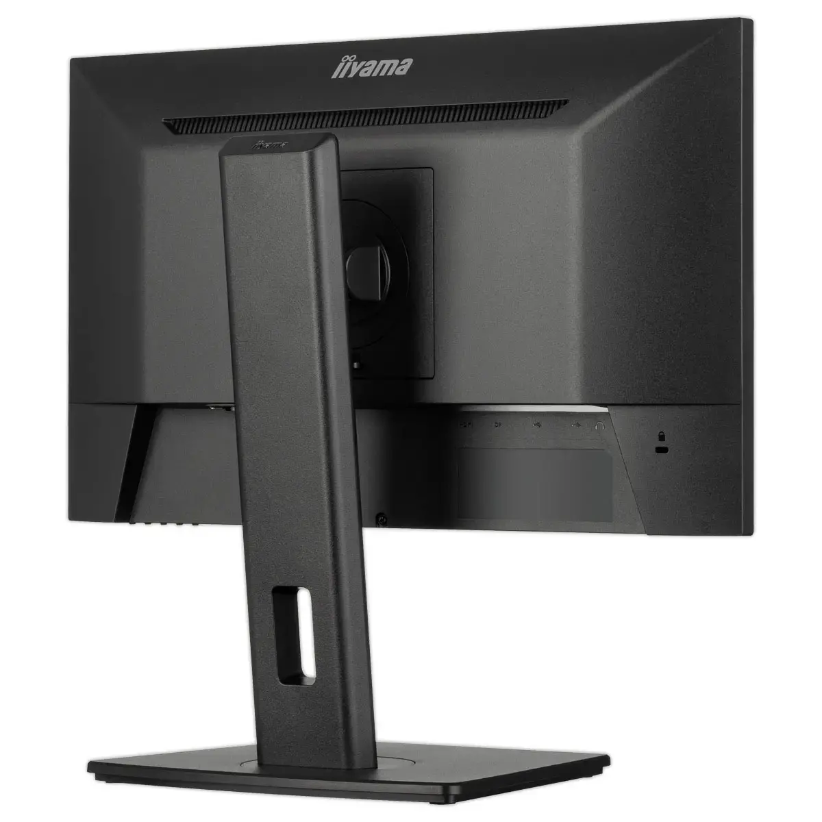 Prolite-monitor - 22" 