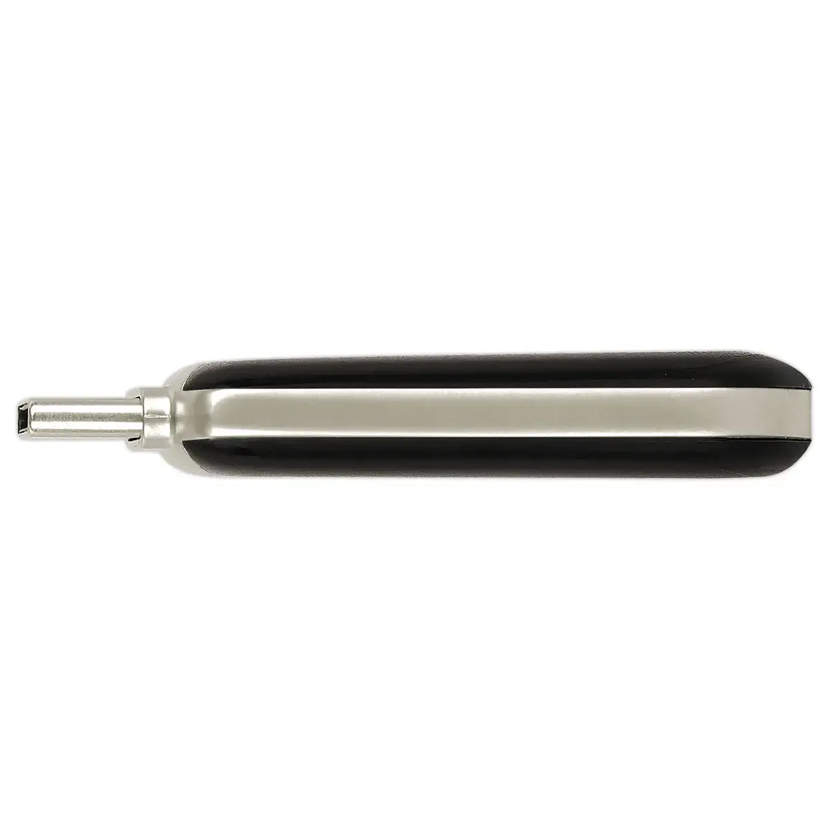 CLE USB Plectra USB-C Flash Drive 256GB