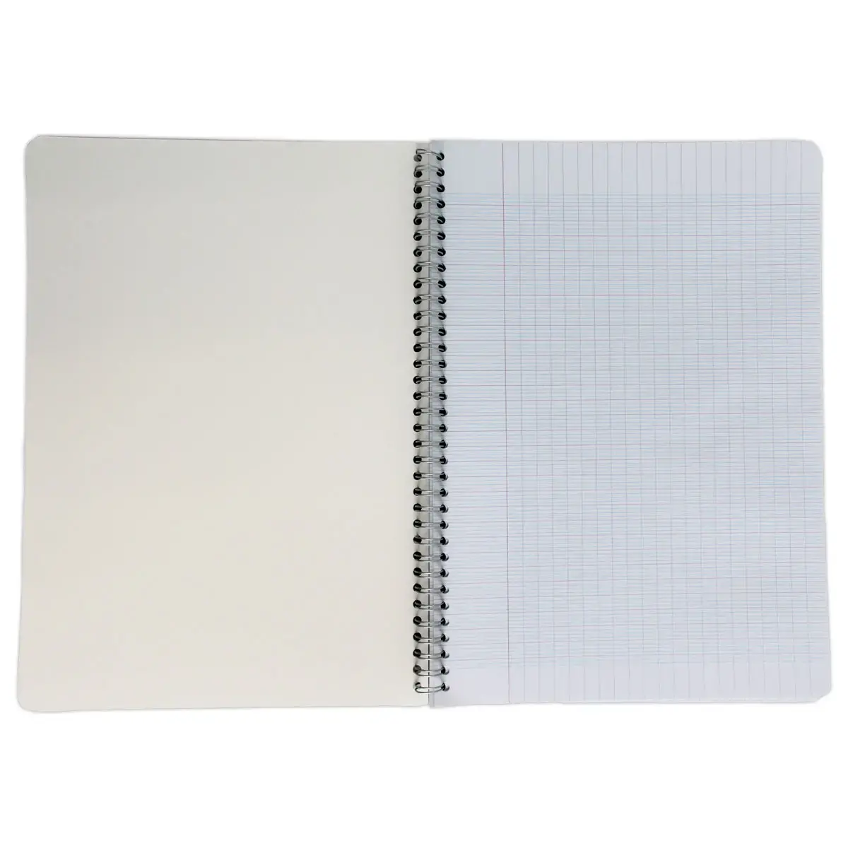 Spiraalgebonden schrift FIDUCIAL 70g, A4 -Seyes - 100p