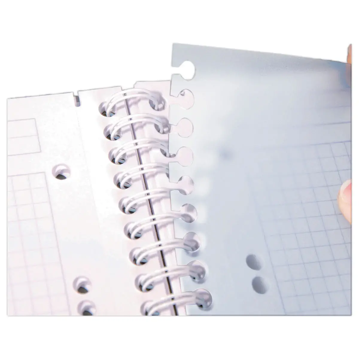 Spiraalschrift Evolutiv A4+ 240p - 5x5+ 3 tabbladen