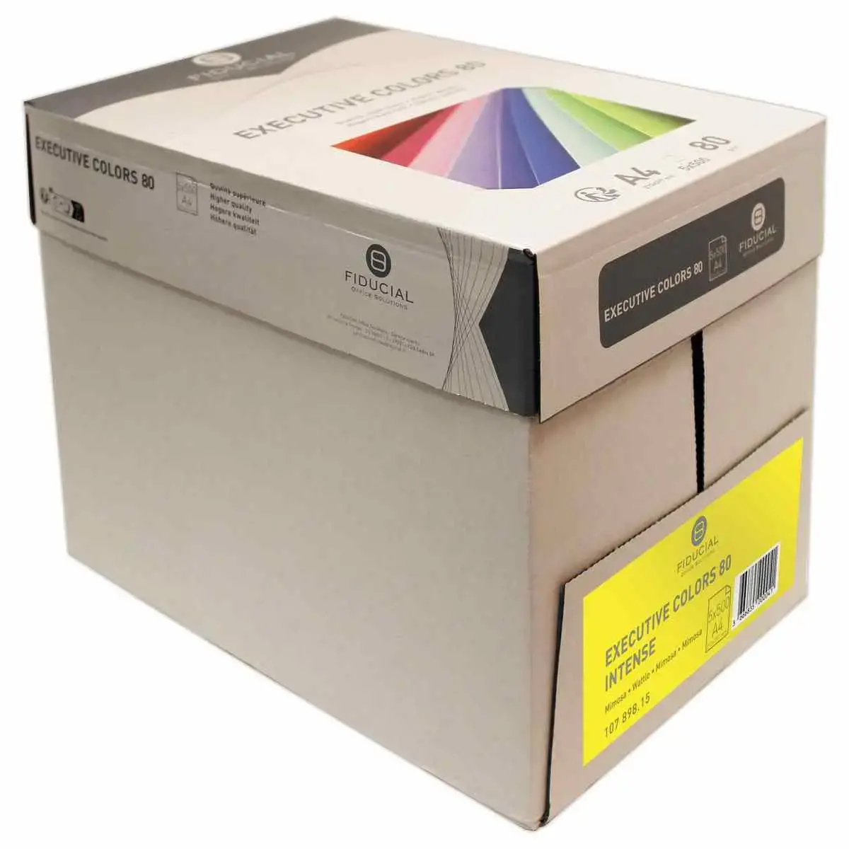 Pak van 500 vellen papier  A4 80 g EXECUTIVE CLR  - intense kleuren 