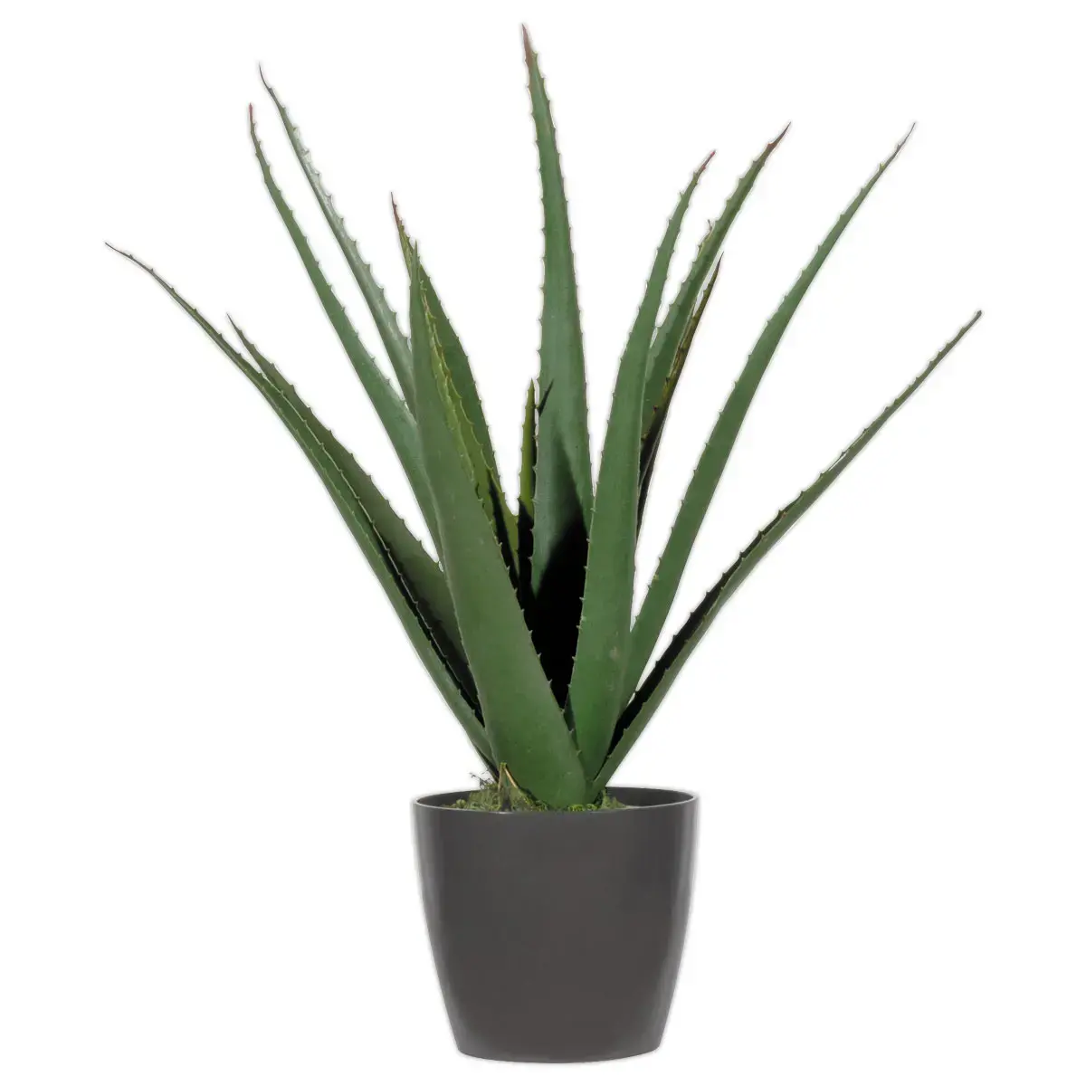 Kunstplant Aloe vera - H 45 cm
