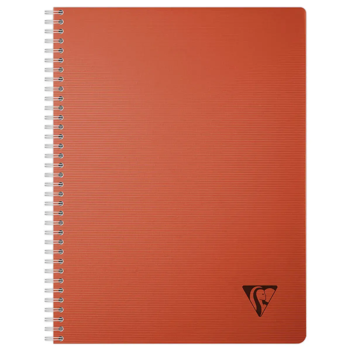 Spiraalschrift Linicolor - A4 - 100 pagina's - 5x5 - CLAIREFONTAINE