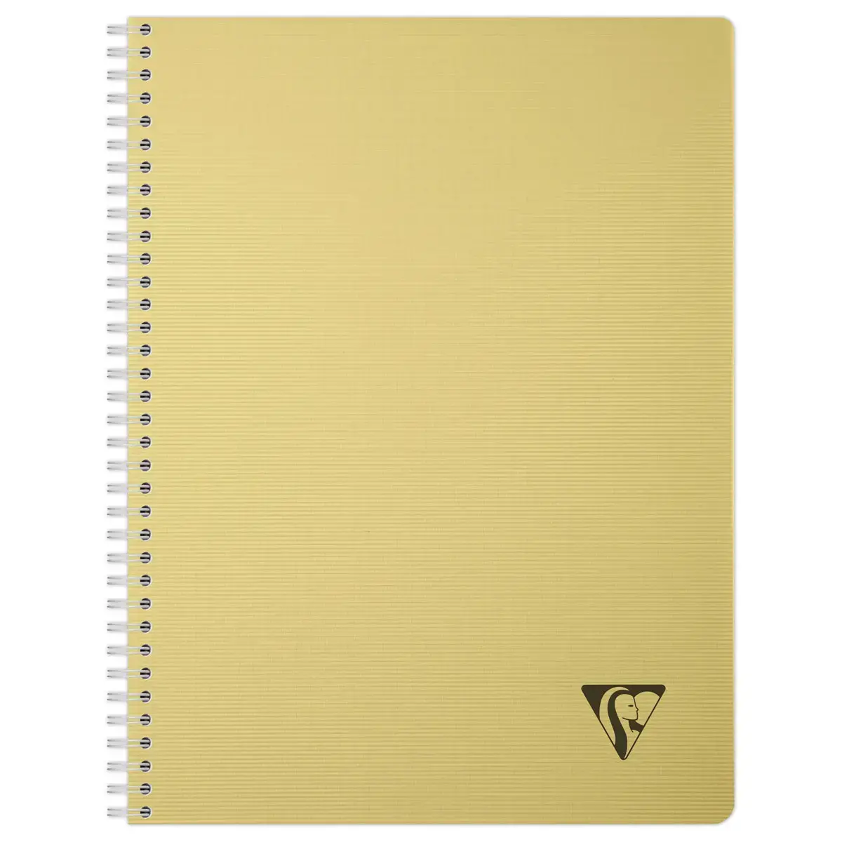Spiraalschrift Linicolor - A4 - 100 pagina's - 5x5 - CLAIREFONTAINE
