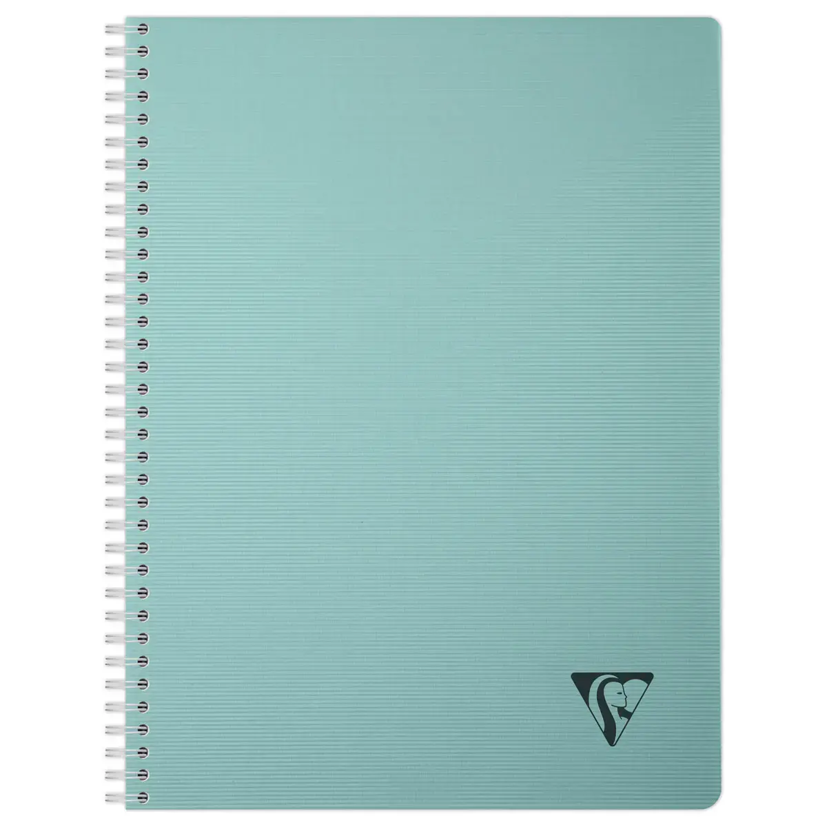 Spiraalschrift Linicolor - A4 - 100 pagina's - 5x5 - CLAIREFONTAINE
