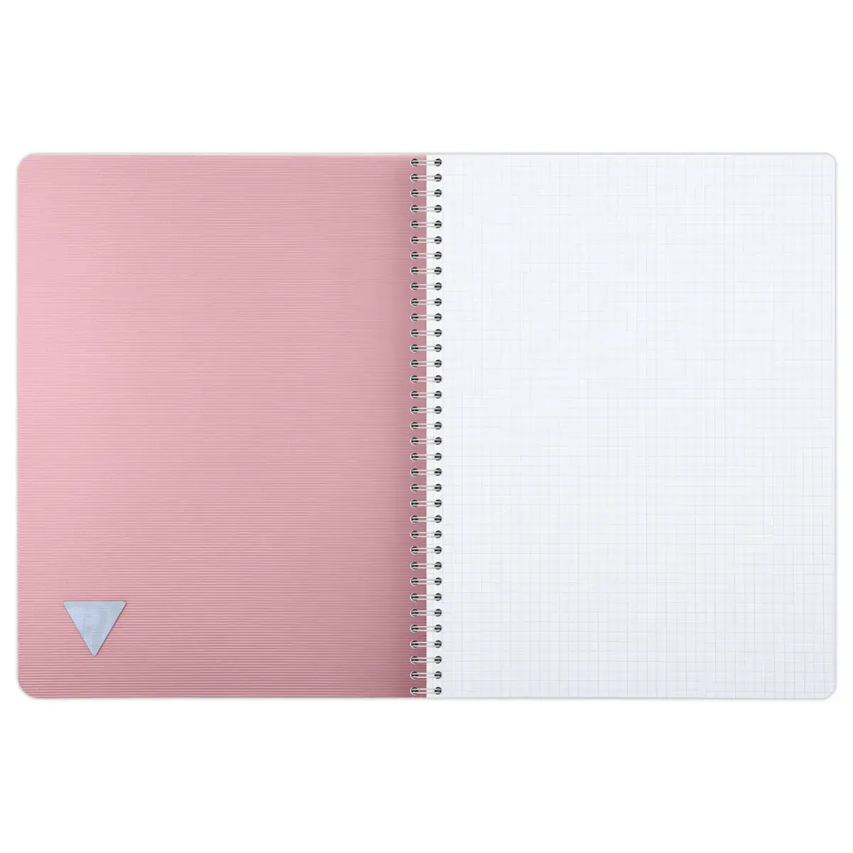 Spiraalschrift Linicolor - A4 - 100 pagina's - 5x5 - CLAIREFONTAINE
