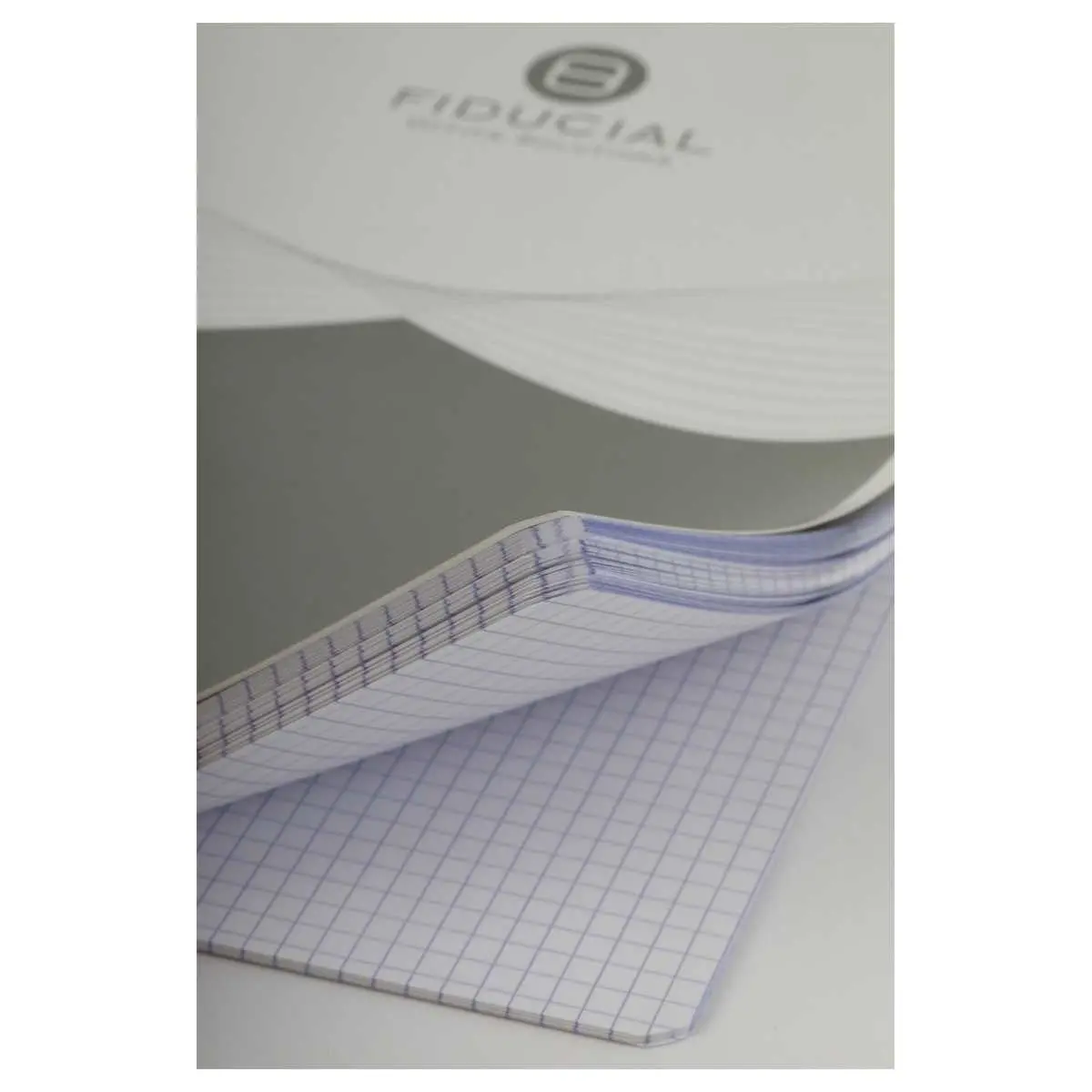 Spiraalschrift FIDUCIAL 70 g -A4 - 180pg's - 5x5